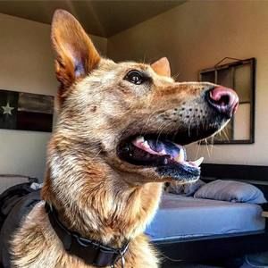 Meet your Posher, Gordon